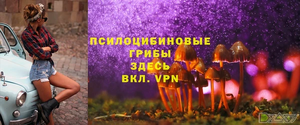 2c-b Алексеевка